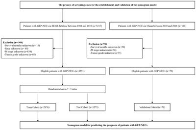 Establishment and validation of a clinicopathological prognosis model of gastroenteropancreatic neuroendocrine carcinomas